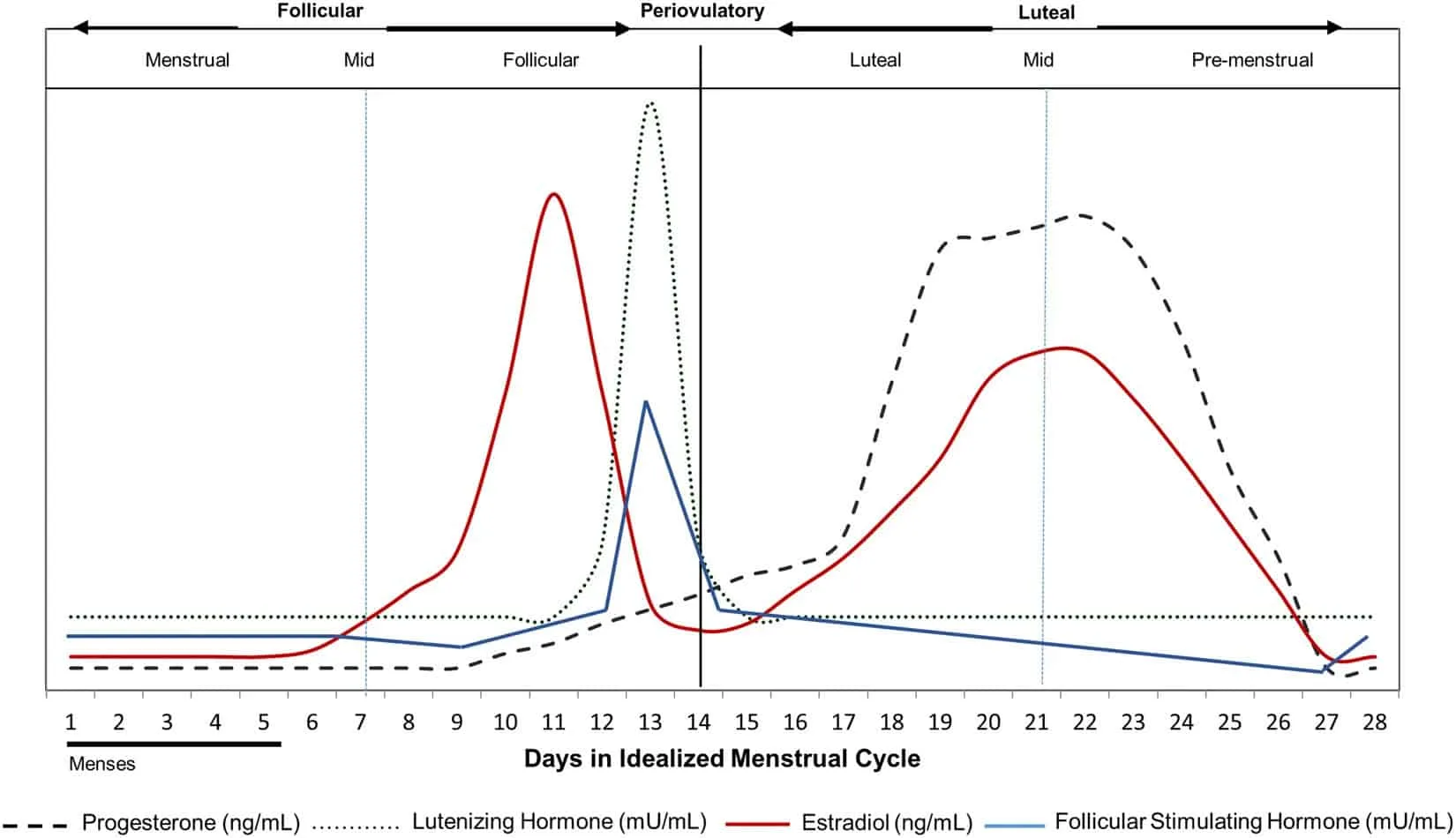 Menstrual Variation of Lipedema Symptoms